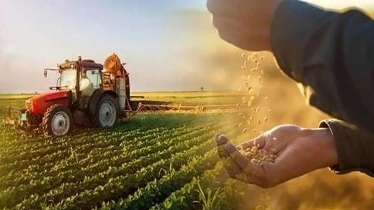 Çiftçiye 129,3 Milyon TL Ödeme! Bakan Müjdeyi Verdi