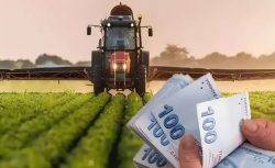 Çiftçiye müjde: 2025 tarım destekleri Mart ayında hesaplara yatıyor!