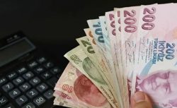 Zam Hesabı Baştan Yazılıyor! Emeklilere 6 Maddelik Reform ile Yeni Zam Sistemi Geliyor